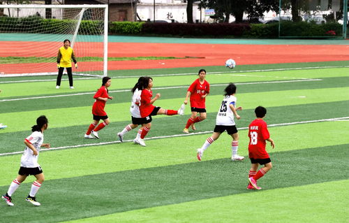 沙特转会传闻