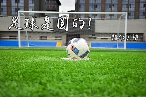 劳塔罗续约
