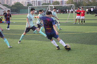 CBA：收获大胜 上海男篮88-52四川男篮