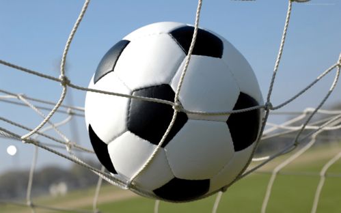 中甲：青岛红狮队2-1南京城市队 提前保级