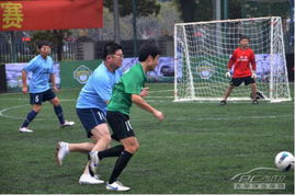 短评：2026大赛之年——齐鲁体育迷共赴热血盛宴