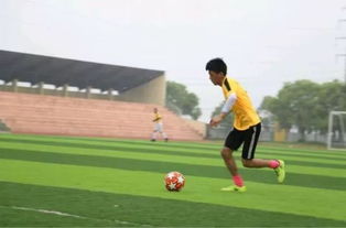 中超：遭遇绝平 成都蓉城队1-1云南玉昆队